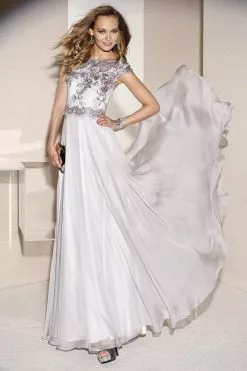 Alyce Paris Bedazzled A-line Dress In Silver 29654