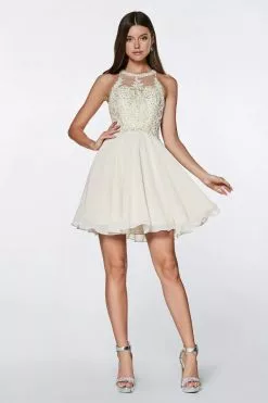 Wedding Dresses shop online 27 Cinderella Divine - CD0141 Beaded Lace Chiffon Halter Cocktail Dress