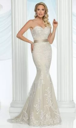 Da Vinci Bridal - 50427 Strapless Sweetheart Lace Tulle Bridal Dress
