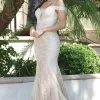 Dancing Queen - Lace Sequin Mermaid Prom Gown 2995 - 1 Pc Champagne In Size S Available -Wedding Dresses shop online dancing queen lace sequin mermaid prom gown 2995 1 pc champagne in size s available ccsale s champagne 30514781552723