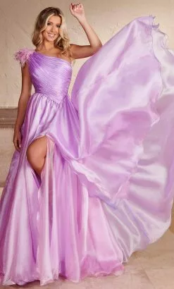Rachel Allan 70366 - One Sleeve Ruched Bodice Prom Gown -Wedding Dresses shop online rachel allan 70366 one sleeve ruched bodice prom gown special occasion dress 00 lilac 31722586341459