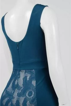 Sangria - DWHGC93 Sleeveless Lace Panel Gown 13 Sangria - DWHGC93 Sleeveless Lace Panel Gown -Wedding Dresses shop online sangria dwhgc93 sleeveless lace panel gown special occasion dress 5445662769209