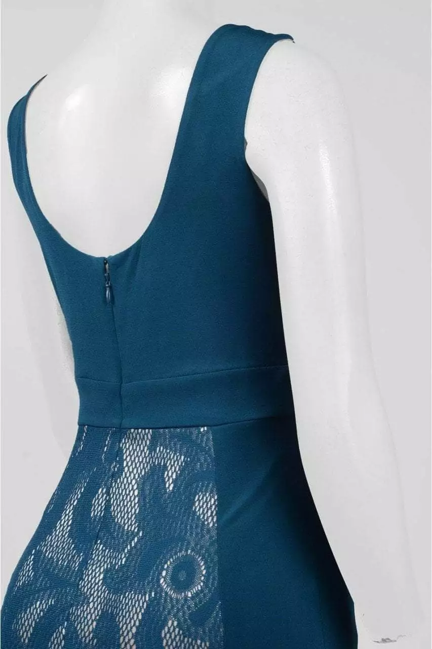 Sangria - DWHGC93 Sleeveless Lace Panel Gown 8 Sangria - DWHGC93 Sleeveless Lace Panel Gown - Image 6